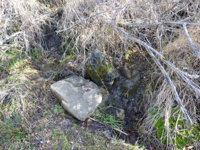Fuente del Castillejo - imagen 1