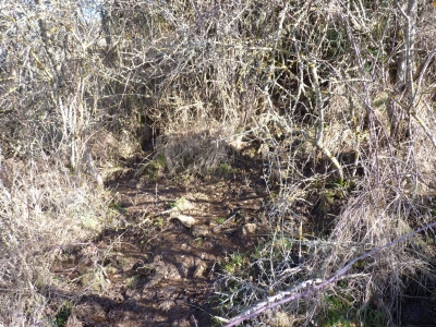 Fuente del Castillejo - imagen 2