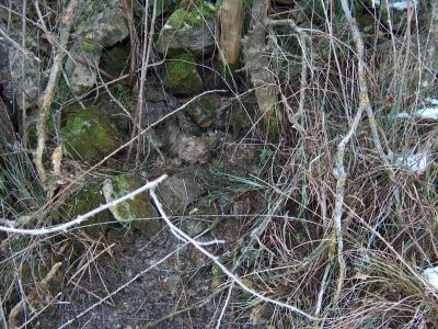 Fuente de la Cerca de Maza I - imagen 1