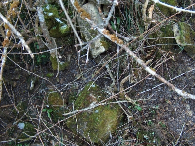 Fuente de la Cerca de Maza I - imagen 2