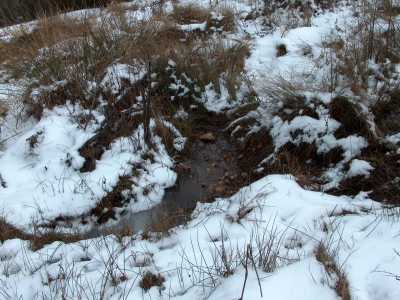 Fuente de la Cerca de Maza I - imagen 4