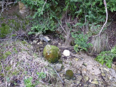 Fuente de la Cerca de Maza III - imagen 1
