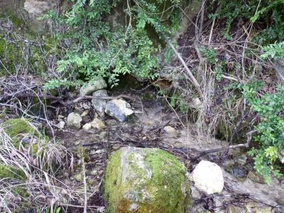 Fuente de la Cerca de Maza III - imagen 2