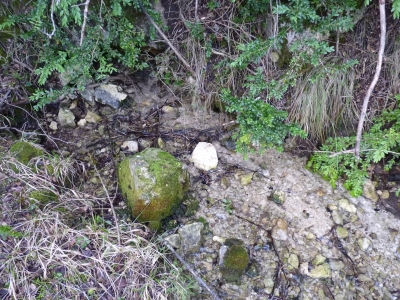 Fuente de la Cerca de Maza III - imagen 3