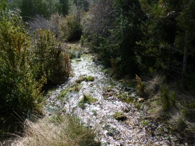 Fuente de la Cerca de Maza III - imagen 5