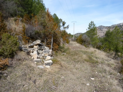 Fuente de la Cerca de Maza III - imagen 8