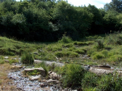 Fuente del Chopar - imagen 4