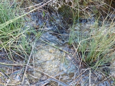 Fuente de los Chustales - imagen 4