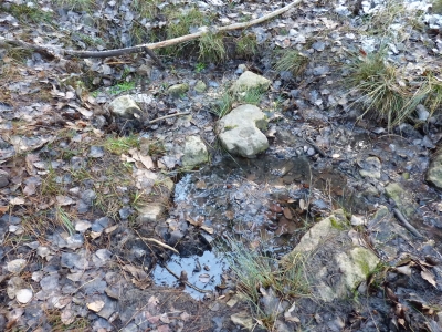 El Cubillejo - imagen 2