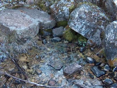 Fuente del Espolón - imagen 2