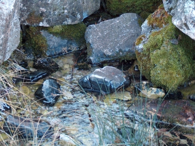 Fuente del Espolón - imagen 3