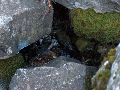 Fuente del Espolón - imagen 4