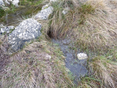 El Estanque - imagen 2