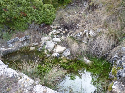 El Estanque - imagen 3