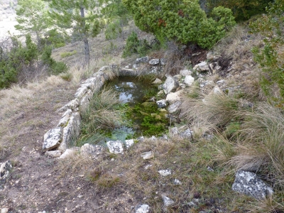El Estanque - imagen 4