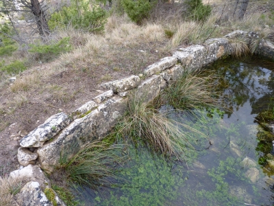 El Estanque - imagen 6