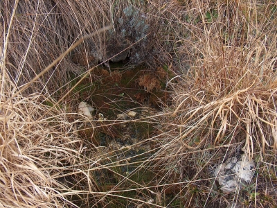 Fuentecillas del Barranco - imagen 2