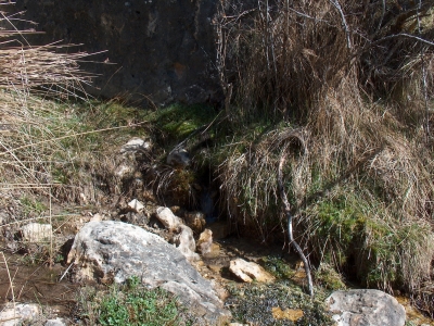 Fuente del Hornillo - imagen 2