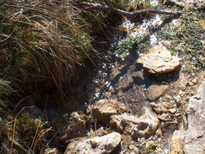 Fuente del Hornillo - imagen 4