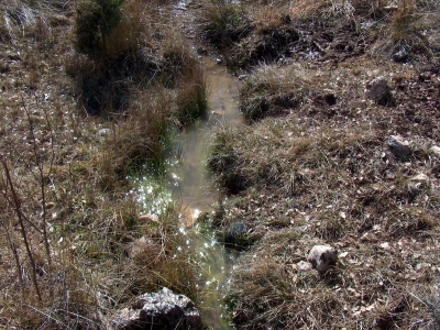 Fuente de las Majaillas - imagen 2