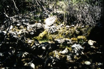 Fuente de los Masegares - imagen 1