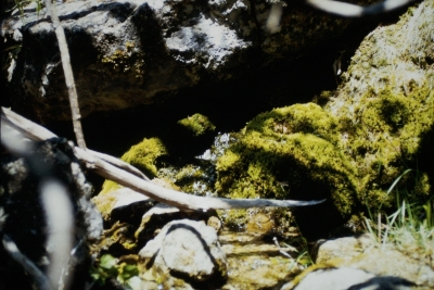 Fuente de los Masegares - imagen 4