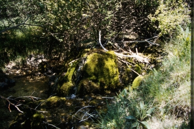 Fuente de los Masegares - imagen 5
