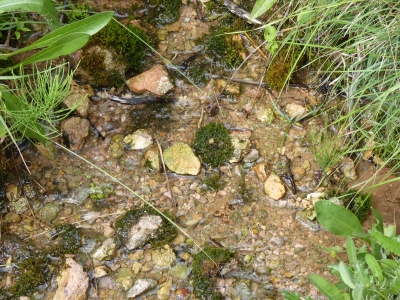 Fuente Menga - imagen 2