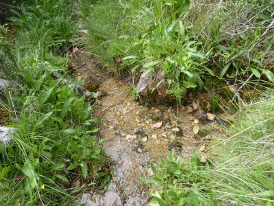 Fuente Menga - imagen 3