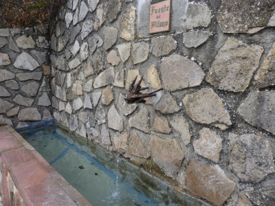 Fuente el Milano - imagen 2