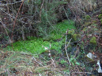 Fuente del Navar - imagen 1