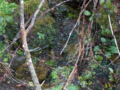 Fuente del Navar - imagen 3