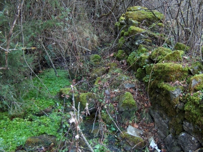 Fuente del Navar - imagen 4