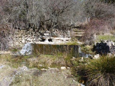 Fuente de las Nogueras - imagen 2