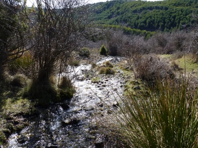 Fuente de las Nogueras - imagen 3