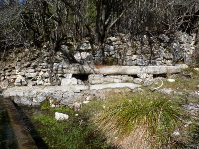 Fuente de las Nogueras - imagen 7