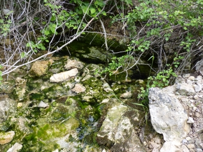La Olla - imagen 2