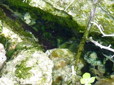 La Olla - imagen 3