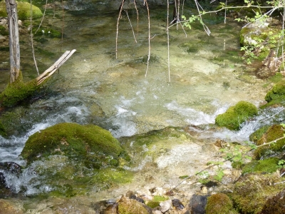 La Olla - imagen 4