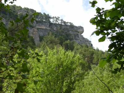 La Olla - imagen 7