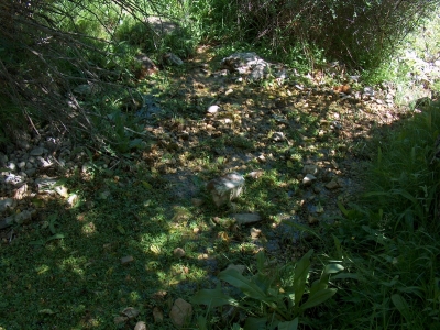 Fuente del Pajarillo - imagen 1