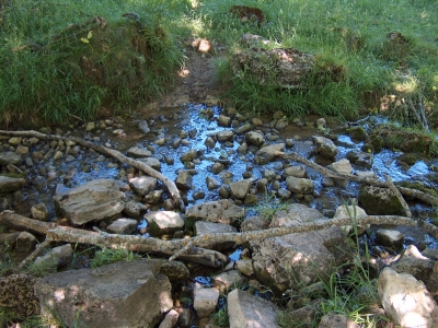 Fuente del Pajarillo - imagen 3
