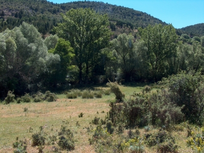 Fuente del Pajarillo - imagen 6