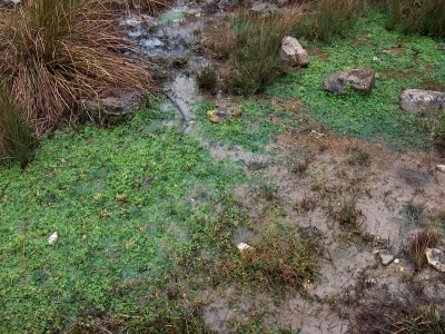 Fuente del Pantasmo - imagen 3
