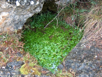 Fuente del Pantasmo - imagen 4