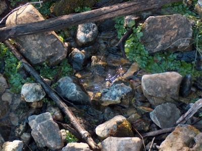 Fuente del Peral - imagen 4