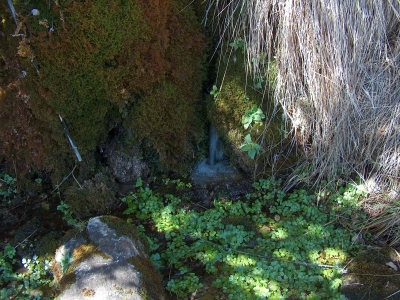 fuente del Pie I - imagen 2