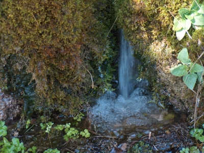 fuente del Pie I - imagen 3