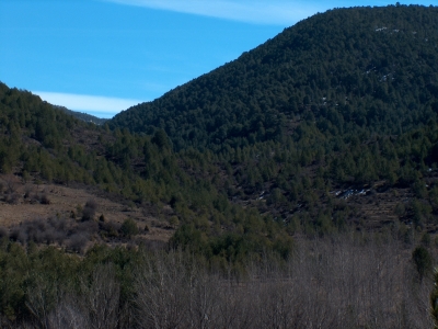 Fuente el Pie II - imagen 6