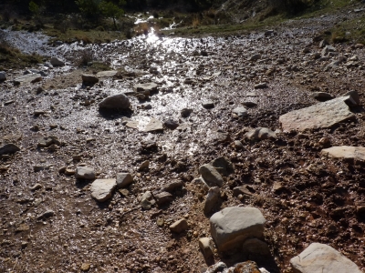 Fuente del Piojo - imagen 4